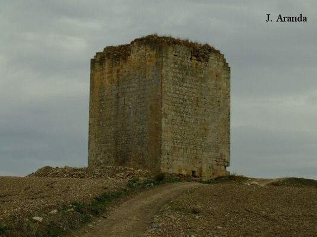 Torre del Águila Logo