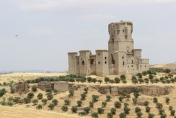 Castillo de Los Sotomayor Zuñiga Y Madroñiz Logo