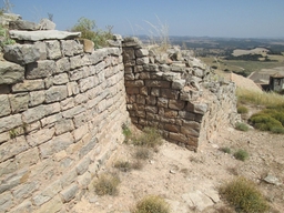 Castell de la Guàrdia Pilosa Logo