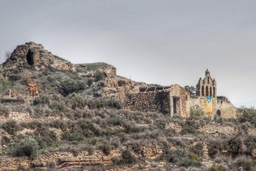 Castell de Sanaüja Logo