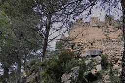 Castillo de la Viñaza Logo