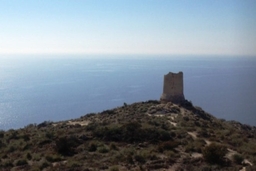 Torre del Barranc d'Aigües Logo