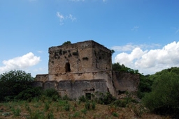 Torre de la Morita Logo