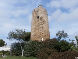 Torre Nueva Logo