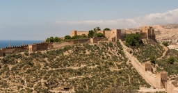 Conjunto Monumental de la Alcazaba de Almería Logo