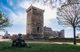 Castillo de Villanueva de Jamuz Logo