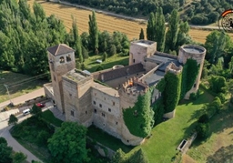 Castle of Castilnovo Logo