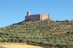 Castle Puebla de Alcocer Logo