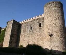 Castillo del Condestable Dávalos Logo