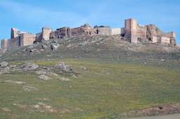 Castillo de Montemolín Logo