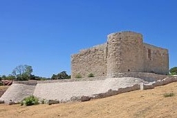 La Alameda's Castle Logo