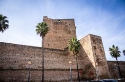 Torre del Homenaje del Castillo de Olivenza Logo