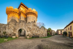 Castillo de Granadilla Logo