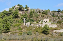 Castillo de Selma Logo