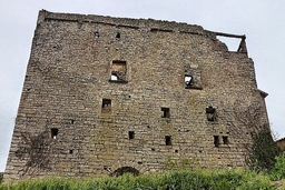 Castillo de Sant Guim de la Rabassa. Restos Logo