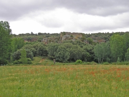 Castillo de Rochafrida Logo