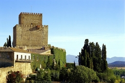 Ciudad Rodrigo Castle Logo