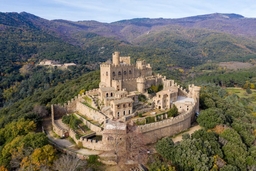 Requesens Castle Logo