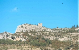 Castillo de Ordás Logo