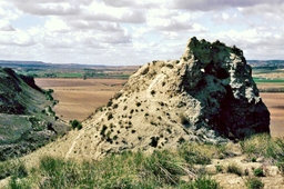 Castillo de Alboer Logo