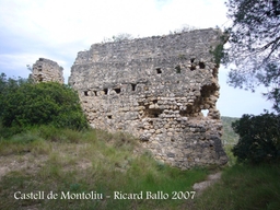 Castell de Montoliu Logo