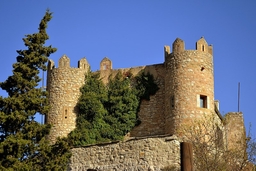 Castell de Biure Logo