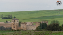 Castle of Castilnovo Logo