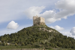 Castillo de Curiel de Duero Logo