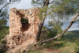 El Castell de Font-rubí Logo