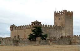 Castle of Narros de Saldueña Logo