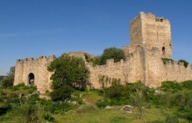 Castillo Templario de Peñafiel Logo