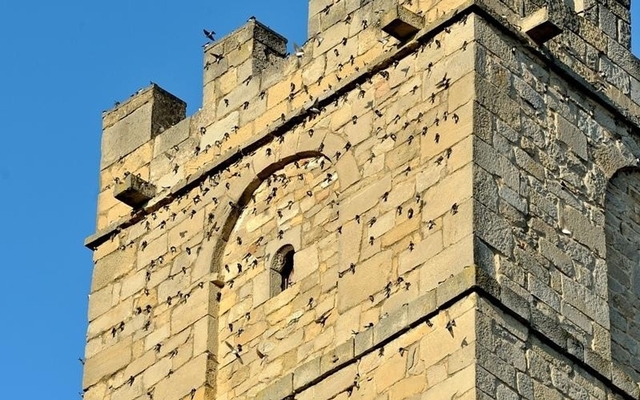 Torre del Homenaje del Castillo Logo