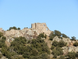 Castillo de Mayorga Logo