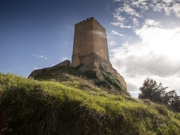 Castillo de la Peña de Ayllón Logo