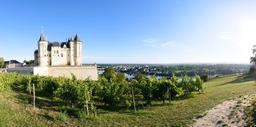 Château de Saumur Logo