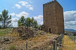 Torreón de Navardun Logo