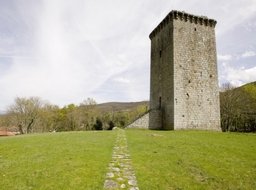 Fírbeda Defensive Tower Logo