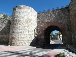 Arco de San Martín Logo