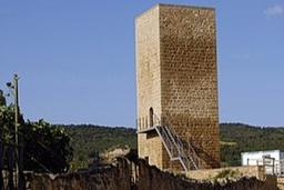 Torre de Arellano Logo