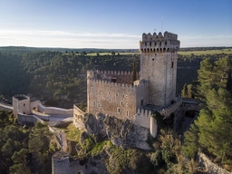 Alarcón Castle Logo