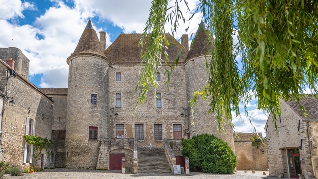 Château de Nemours Logo