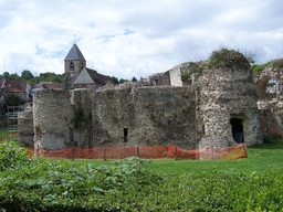 Château de Beynes Logo