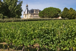 Château Fonréaud Logo