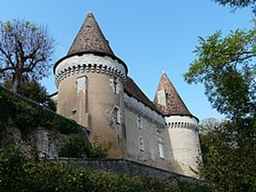 Château de Mauriac Logo