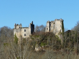 Château de Bruzac Logo