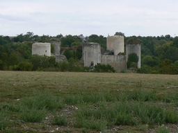 Château du Coudray-Salbart Logo