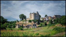 Château de Salignac Logo