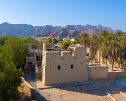 Dibba Al Fujairah Fort Logo