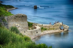 Rodoni Castle Logo