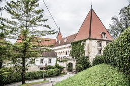 Spielfeld Castle Logo